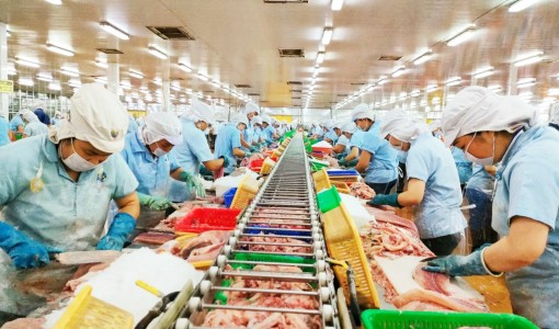 Thốt Nốt - Nhiều giải pháp thúc đẩy phát triển kinh tế