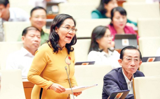 Cần bổ sung chế tài xử lý việc chậm hoặc không công khai thông tin quy hoạch