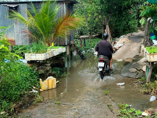 Sớm khắc phục tình trạng sạt lở ở quận Bình Thủy