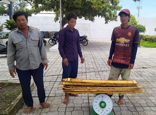 Bị bắt quả tang khi đang trộm vật tư công trình điện gió