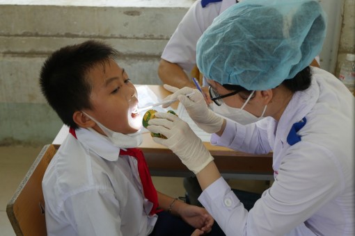 Hơn 8.000 học sinh Trà Vinh được chăm sóc răng miệng