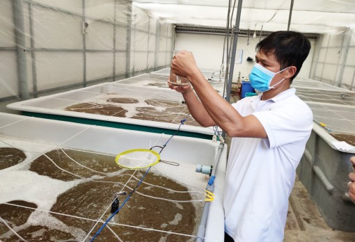 Đổi mới đào tạo nghề để nâng cao trình độ sản xuất