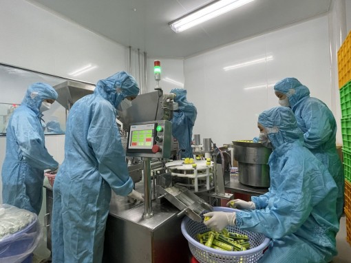 Nâng cao nội lực, sức cạnh tranh, hội nhập kinh tế quốc tế  