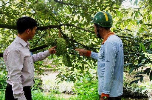 Vững mục tiêu xây dựng xã nông thôn mới kiểu mẫu Tân Thới