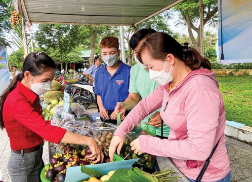 Giải pháp tổng hợp để phát huy tiềm năng vườn cây ăn trái