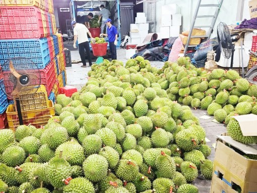 Nâng cao hiệu quả sản xuất cây ăn trái