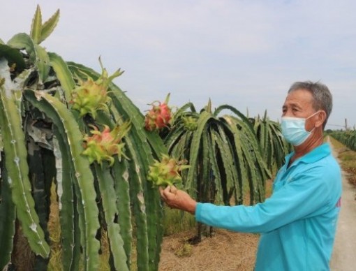 Nông dân Cần Thơ sẵn sàng hội nhập