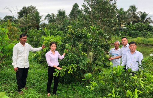 Chăm lo người nghèo