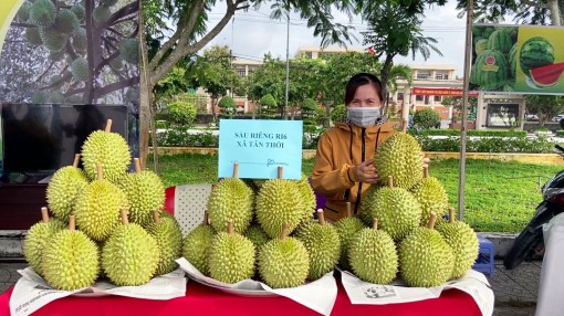 Phát triển sản phẩm OCOP, gia tăng giá trị nông sản địa phương