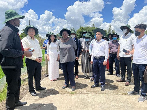 Chủ tịch Quốc hội nước Cộng hoà Mozambique thăm Viện Lúa ĐBSCL