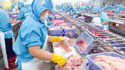 Bức tranh mới cho kinh tế nông nghiệp ĐBSCL