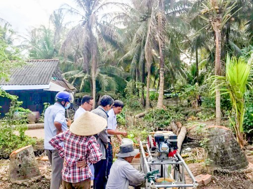 Hơn 1.160ha dừa bị nhiễm sâu đầu đen