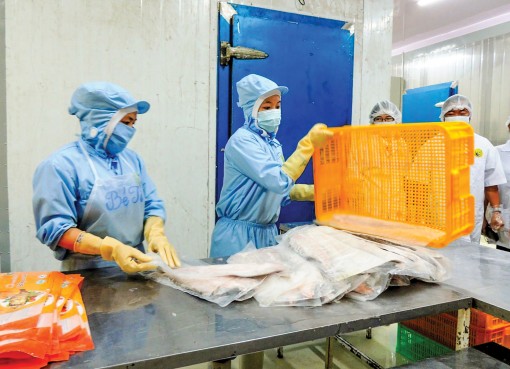 Triển vọng, nhưng đối mặt nhiều khó khăn