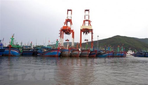 Chủ động ứng phó với áp thấp nhiệt đới có khả năng mạnh lên thành bão