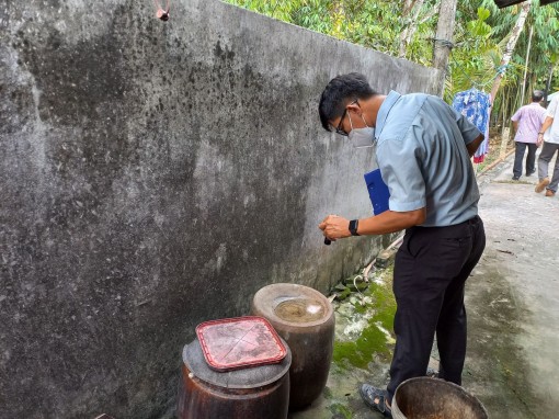 Sốt xuất huyết tăng cao