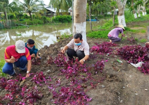Trường Xuân B nâng cao chất lượng các tiêu chí nông thôn mới