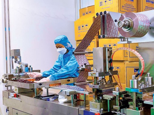 Ðồng hành cùng doanh nghiệp phục hồi, phát triển sản xuất, kinh doanh