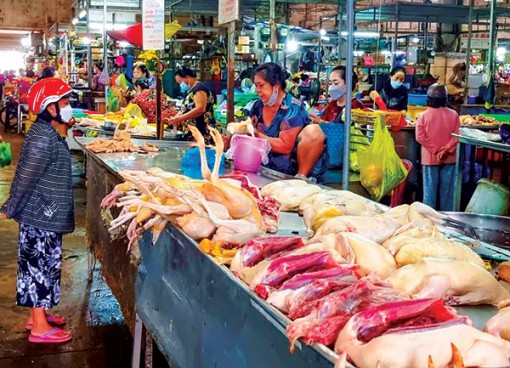 Giá vịt thịt tăng cao