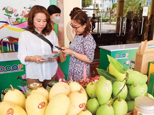 Ðồng Tháp:  Nhiều giải pháp nhằm nâng cao hiệu quả sản xuất nông nghiệp