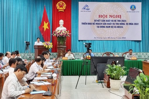 Triển khai kế hoạch sản xuất trồng trọt vụ thu đông, vụ mùa năm 2022 tại Nam Bộ