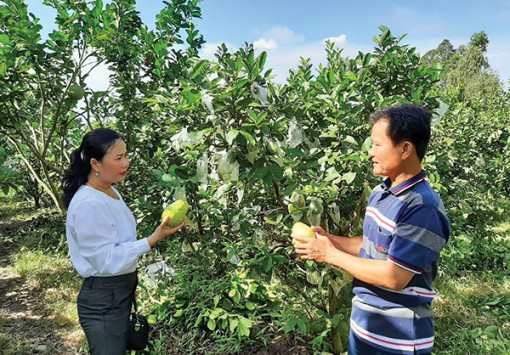 Nỗ lực chăm lo đời sống nhân dân