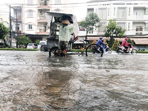 Chủ động phòng, chống, ứng phó kịp thời, giảm thiểu thiệt hại do thiên tai