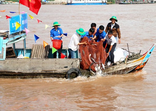 Kể thêm về sông Vàm Nao xưa