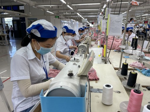 Để khai thác hiệu quả Hiệp định RCEP