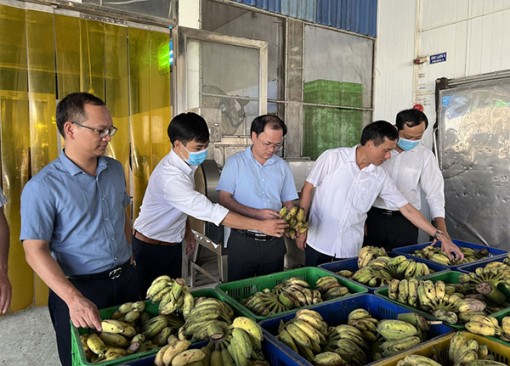 Tìm hướng thúc đẩy xuất khẩu nông sản qua các cửa khẩu tỉnh Lạng Sơn