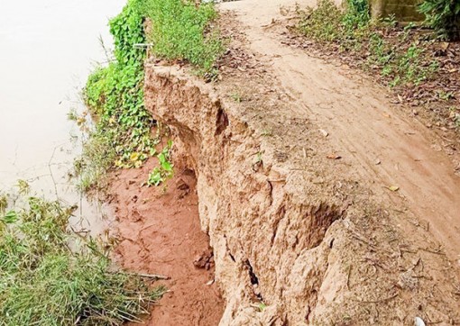 An Giang: Xuất hiện 2 điểm sạt lở ở bờ Tây sông Hậu