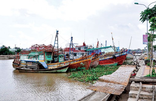 Chi phí chuyến biển tăng, tàu cá giảm lãi