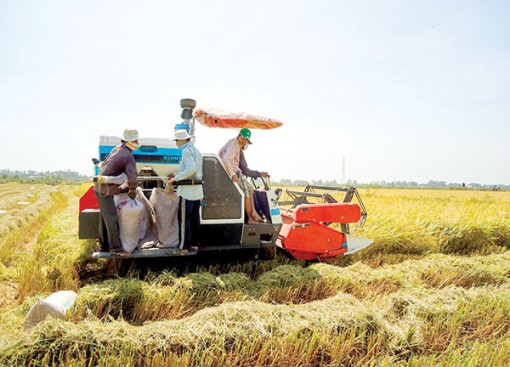 Phấn đấu tăng trưởng kinh tế khu vực nông nghiệp - thủy sản bình quân đạt 2,5-3%