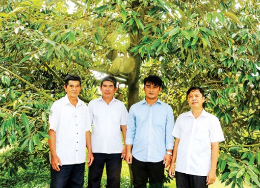 Ðổi mới tư duy trong xây dựng và quản lý mã số vùng trồng