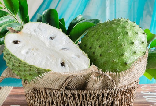 Mãng cầu xiêm có tiềm năng chữa ung thư