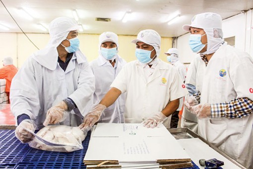 Khơi thông các nguồn lực cho phục hồi kinh tế