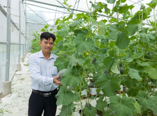 Tiếp tục nâng cao hiệu quả sản xuất nông nghiệp