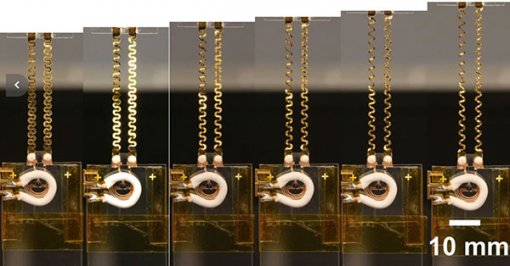 Vòng cổ “thông minh” giúp theo dõi sức khỏe