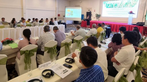 Khởi động Dự án chuyển đổi chuỗi giá trị lúa gạo ứng phó biến đổi khí hậu và phát triển bền vững ở ĐBSCL