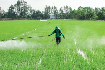 Nâng cao hiệu quả sản xuất nông nghiệp ở huyện Vĩnh Thạnh