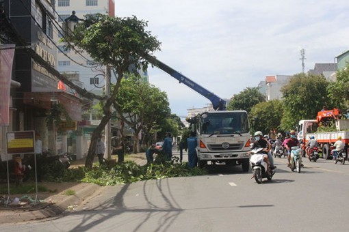 Ninh Kiều chủ động các giải pháp phòng, tránh thiên tai