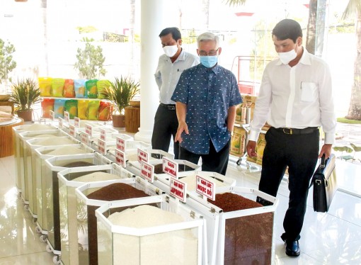 Thốt Nốt quyết tâm hoàn thành các chỉ tiêu kinh tế - xã hội