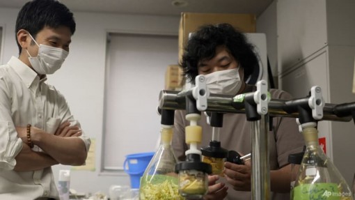 Căng thẳng địa chính trị cản trở hợp tác khoa học