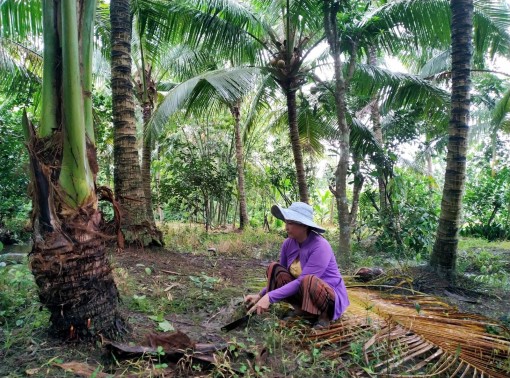 Tạo việc làm, tăng thu nhập cho người dân