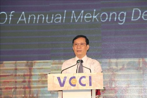 Mekong Delta Economic Report 2022 released