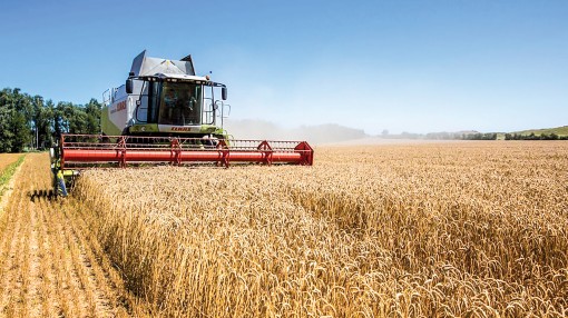 Ukraine cần xuất khẩu 50 triệu tấn ngũ cốc