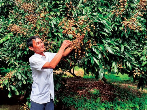 Ðòn bẩy từ nguồn vốn vay ưu đãi