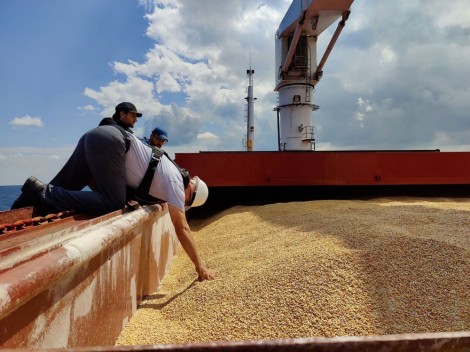 Tiếp tục hoạt động xuất khẩu ngũ cốc từ các cảng của Ukraine