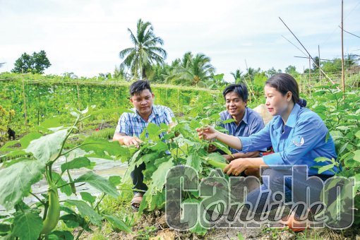 Khởi nghiệp thành công từ nông nghiệp