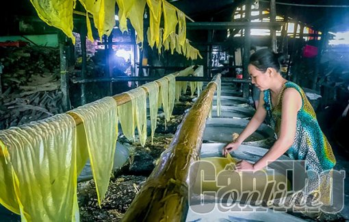 Nghề làm tàu hũ ky ở Mỹ Hòa (Vĩnh Long) là Di sản văn hóa phi vật thể quốc gia