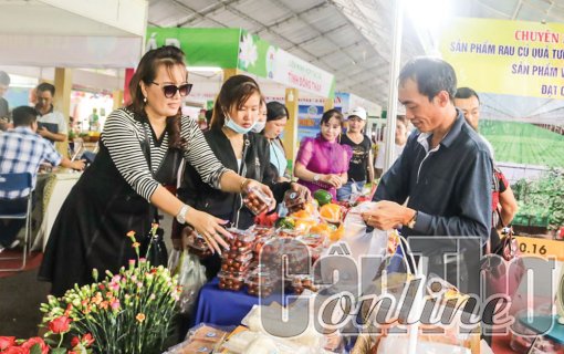 Hỗ trợ hợp tác xã xúc tiến thương mại, kết hợp chuyển đổi số